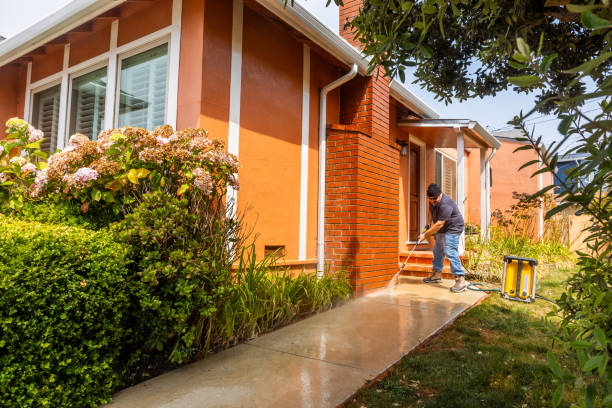 Best Roof Pressure Washing  in Farmville, NC